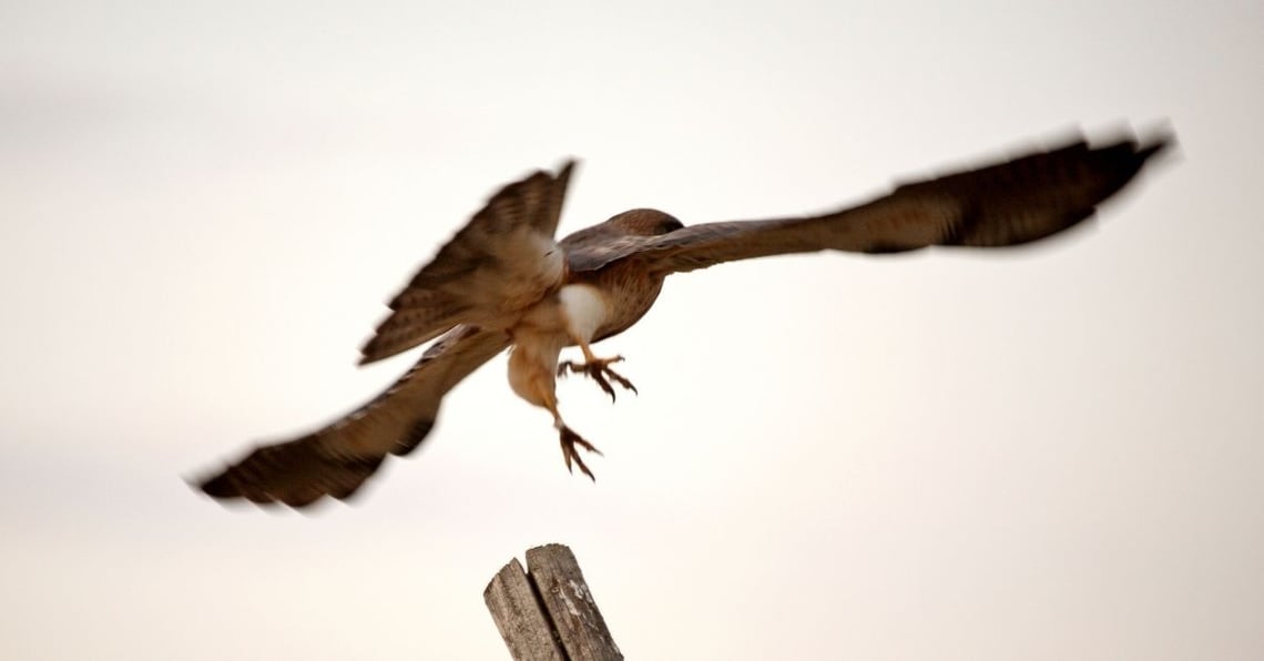 4 common mistakes new CEOs make + how to avoid them