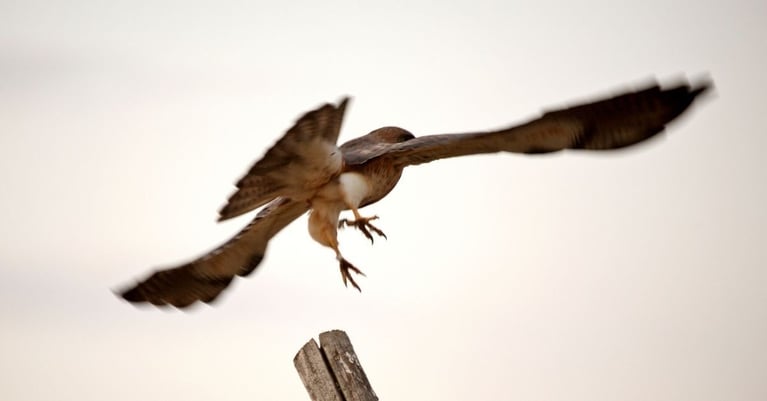 4 common mistakes new CEOs make + how to avoid them