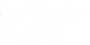 Goldman Sachs
